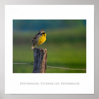 Póster Externalizar, externalizar, externalizar