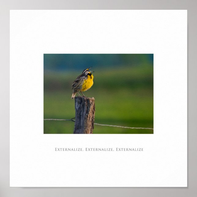 Póster Externalizar, externalizar, externalizar al Poster (Frente)