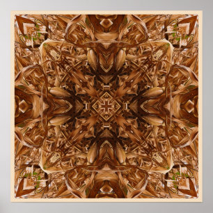 Póster Extracto seco 16 de las cáscaras de maíz