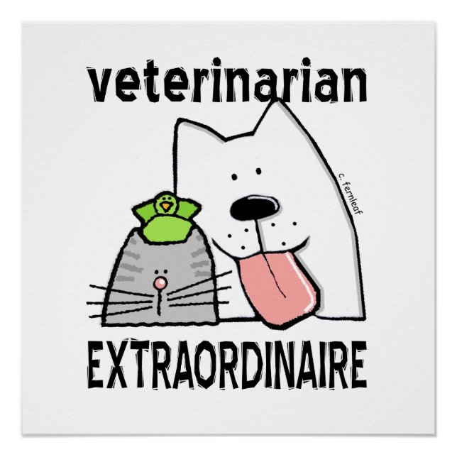 Póster Extraordinaria veterinaria divertida (Anverso)