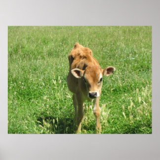 Póster Extraordinario en su campo Fotoimpresión