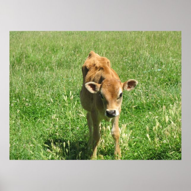 Póster Extraordinario en su campo Fotoimpresión (Frente)