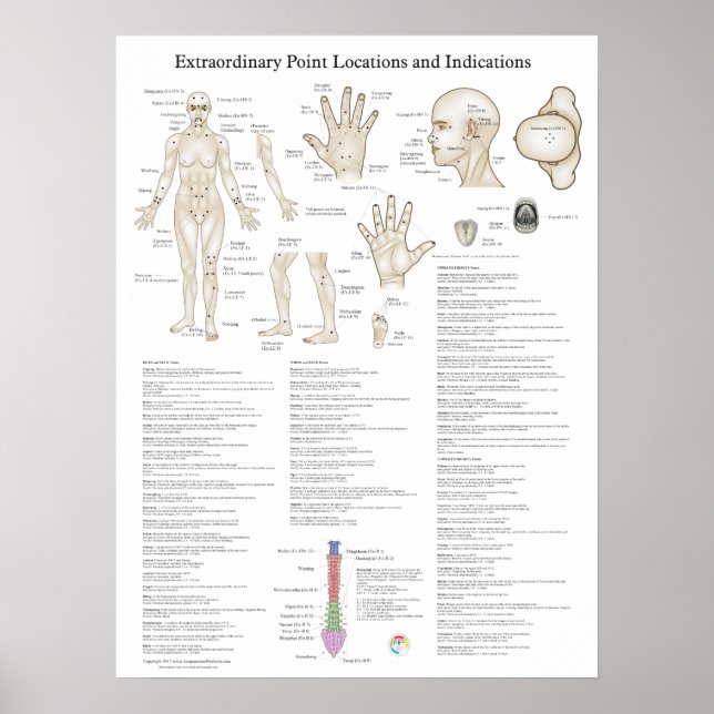 Póster Extraordinary Acupuncture Points Poster (Frente)