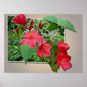 Póster Exuberante Cascada Roja