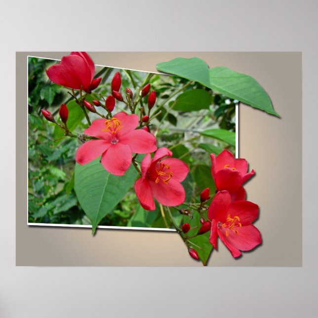 Póster Exuberante Cascada Roja (Frente)