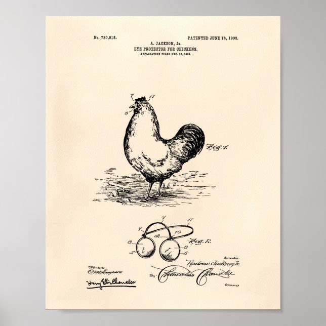 Póster Eye Protector Chickens 1903 Patent Art Old Peper (Frente)