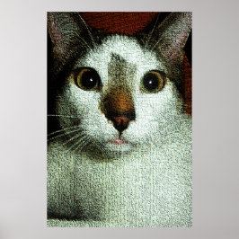 Póster  Eyes of Bud