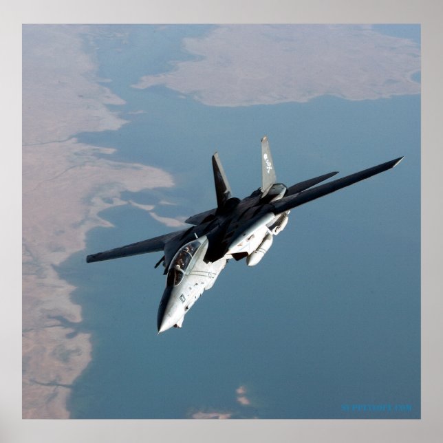 Póster F14 de los Jolly Rodgers (Frente)