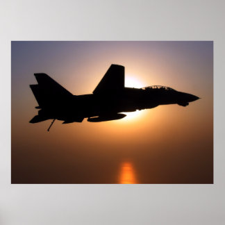Póster F14 Sobre La Patrulla Del Amanecer