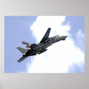 Póster F14 sube hacia el cielo