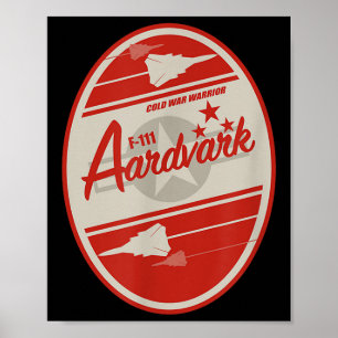 Póster F-111 Aardvark