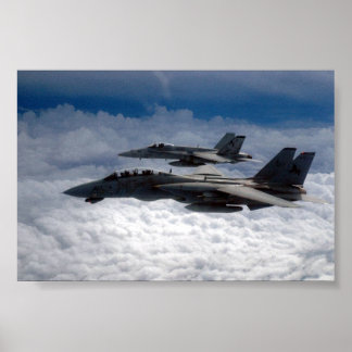 PÓSTER F-14