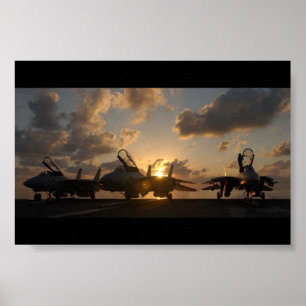 PÓSTER F-14