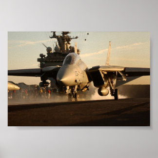 PÓSTER F-14