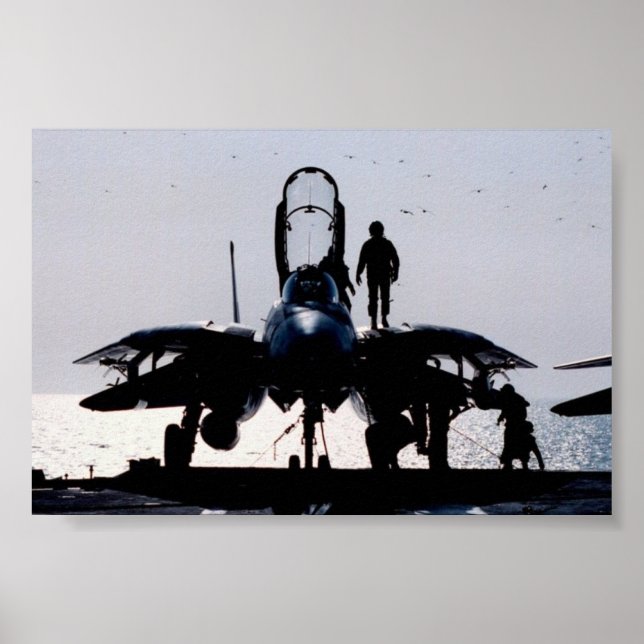 PÓSTER F-14 (Frente)