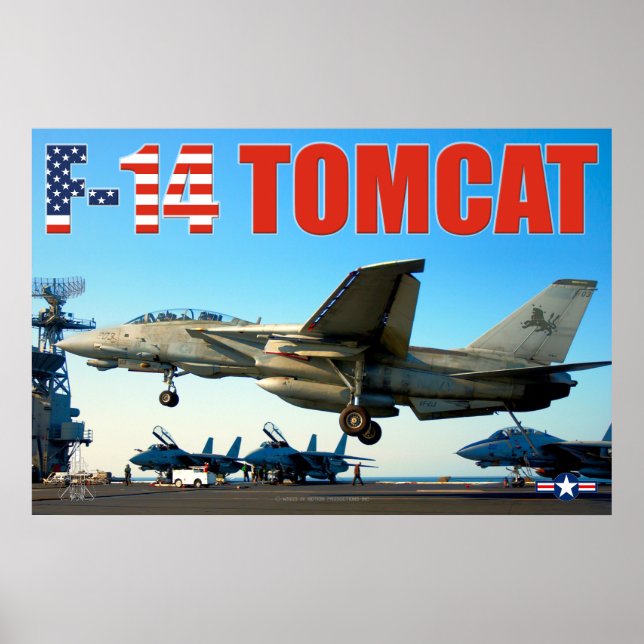 PÓSTER F-14 POSTER "HOOK DOWN" TOMCAT (Frente)