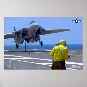 PÓSTER F-14 POSTER "HOOK DOWN" TOMCAT