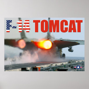 PÓSTER F-14 POSTER TOMCAT "AFTERBURNER"