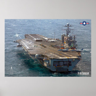 PÓSTER F-14 POSTER TOMCAT "CARRIER"