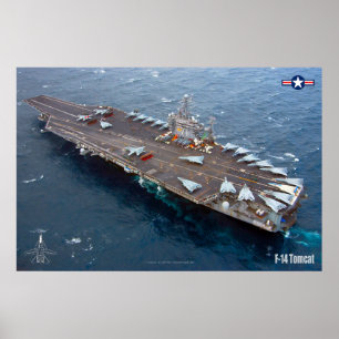 PÓSTER F-14 POSTER TOMCAT "CARRIER"