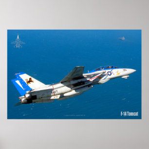 PÓSTER F-14 POSTER TOMCAT "EN PATRULLA"