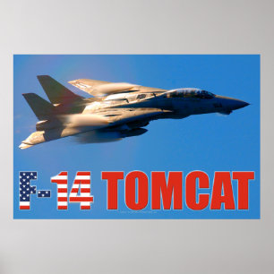 PÓSTER F-14 POSTER TOMCAT "MACH RUN"