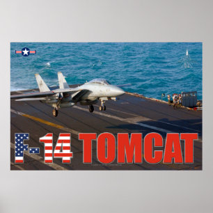 PÓSTER F-14 POSTER TOMCAT "TRAP"