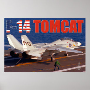 PÓSTER F-14 POSTER TOMCAT "TRAP"