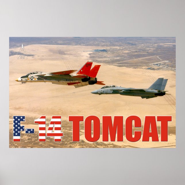 PÓSTER F-14 POSTER TOMCAT "WINGMAN" (Frente)
