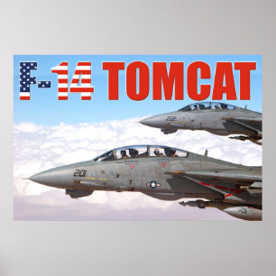 PÓSTER F-14 POSTER TOMCAT "WINGMAN"