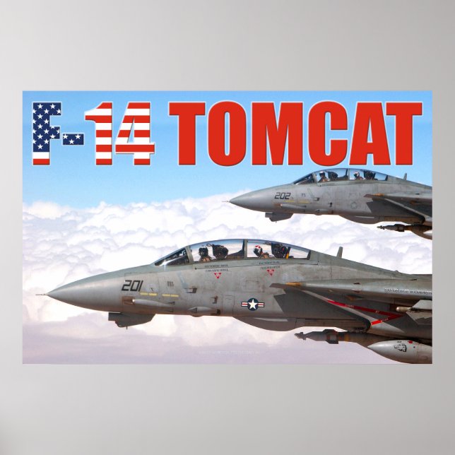 PÓSTER F-14 POSTER TOMCAT "WINGMAN" (Frente)