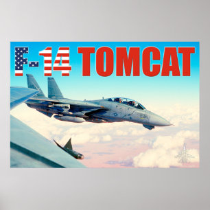 PÓSTER F-14 POSTER TOMCAT "WINGMAN"