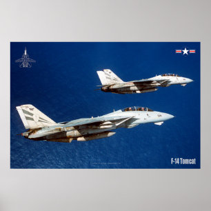 PÓSTER F-14 POSTER TOMCAT "WINGMAN"