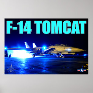 PÓSTER F-14 TOMCAT