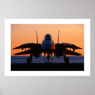 Póster F-14 Tomcat