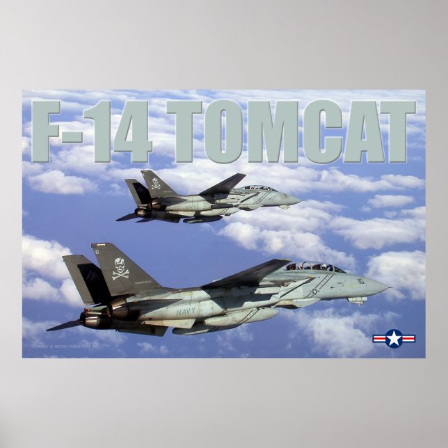 PÓSTER F-14 TOMCAT (Frente)