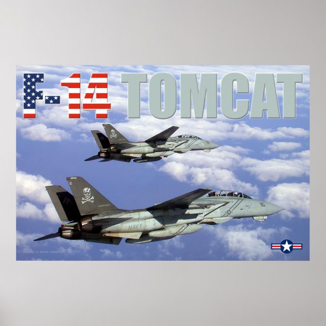 PÓSTER F-14 TOMCAT (Frente)