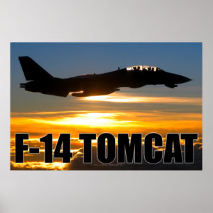 PÓSTER F-14 TOMCAT