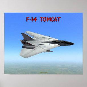 PÓSTER F-14 TOMCAT