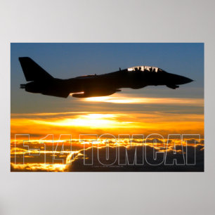 PÓSTER F-14 TOMCAT