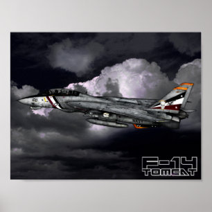 Póster F-14 Tomcat