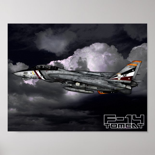 Póster F-14 Tomcat (Frente)