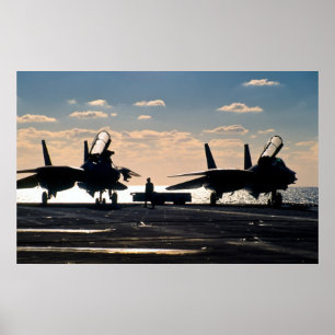 Póster F-14 Tomcat