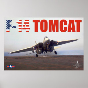 PÓSTER F-14 TOMCAT