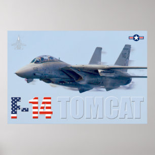 PÓSTER F-14 TOMCAT