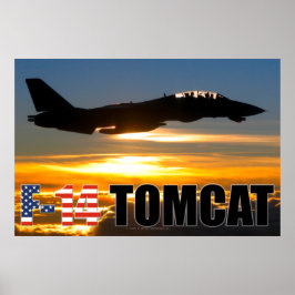 PÓSTER F-14 TOMCAT