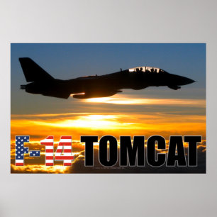 PÓSTER F-14 TOMCAT