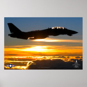PÓSTER F-14 TOMCAT