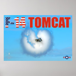 PÓSTER F-14 TOMCAT