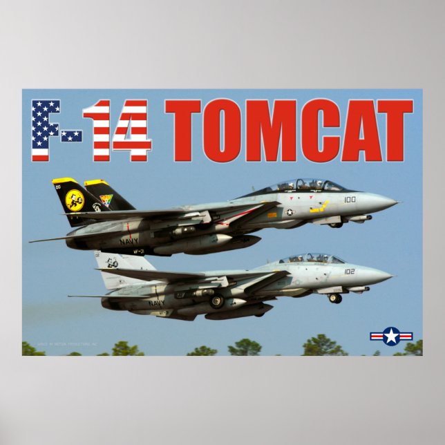 PÓSTER F-14 TOMCAT (Frente)